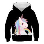 S5df4d93ac6b443dbb723b8b4adfea739x Sweat Licorne à Capuche Noir Arc-en-ciel